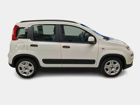 Annonce FIAT PANDA Hybride 2023 d'occasion 