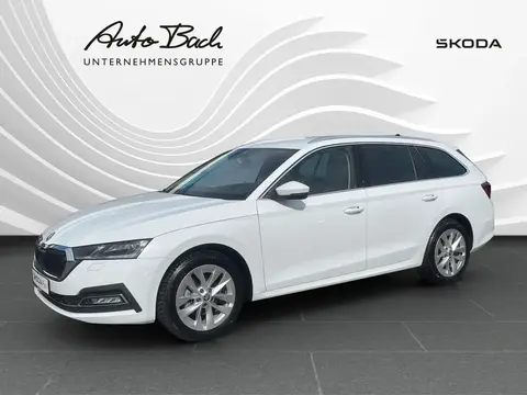 Annonce SKODA OCTAVIA Diesel 2023 d'occasion 