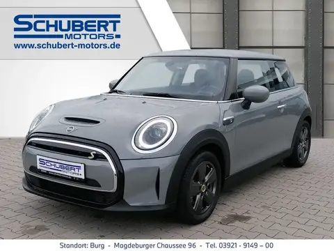 Used MINI COOPER Not specified 2021 Ad 