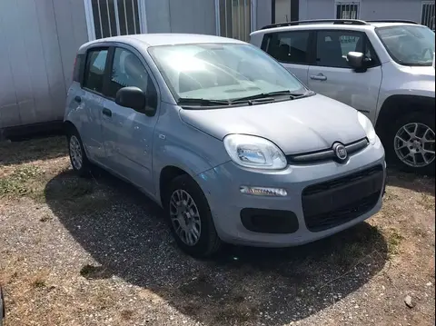 Used FIAT PANDA LPG 2022 Ad 