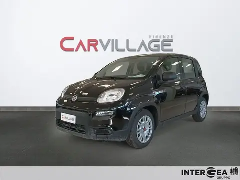 Annonce FIAT PANDA Hybride 2024 d'occasion 