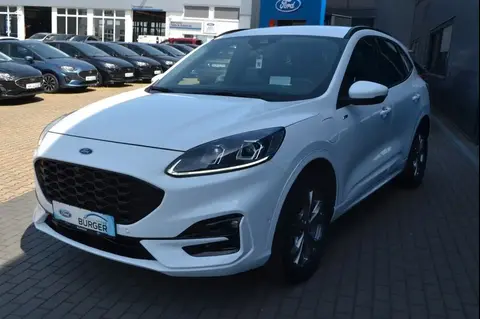 Used FORD KUGA Hybrid 2020 Ad 