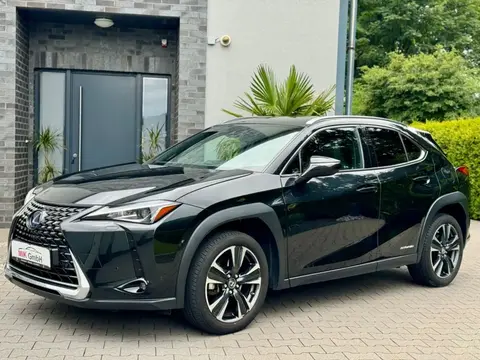 Used LEXUS UX Hybrid 2021 Ad 