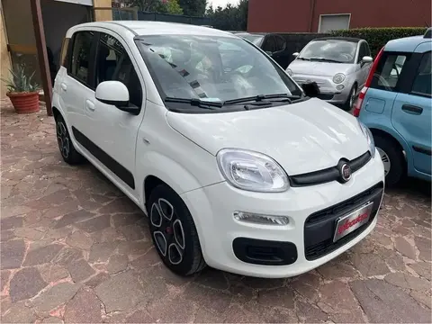 Annonce FIAT PANDA Hybride 2021 d'occasion 