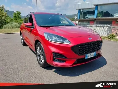 Annonce FORD KUGA Diesel 2021 d'occasion 