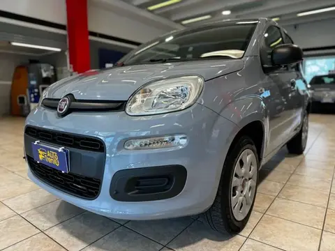 Used FIAT PANDA  2018 Ad 