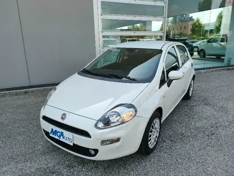 Used FIAT PUNTO Diesel 2018 Ad 