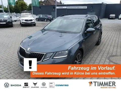 Annonce SKODA OCTAVIA Diesel 2019 d'occasion 