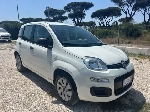 Used FIAT PANDA Petrol 2020 Ad 