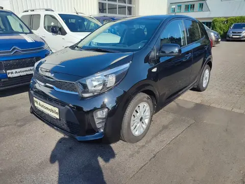 Annonce KIA PICANTO Essence 2023 d'occasion 