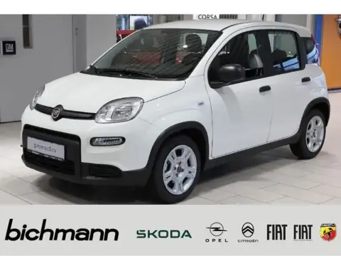 Used FIAT PANDA Petrol 2024 Ad 