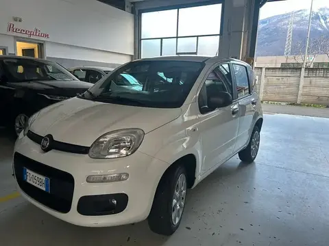 Used FIAT PANDA Petrol 2019 Ad 