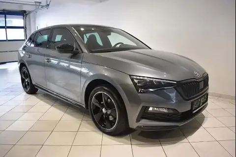 Annonce SKODA SCALA Essence 2023 d'occasion 