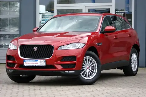 Used JAGUAR F-PACE Diesel 2019 Ad 