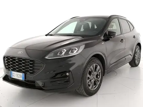 Used FORD KUGA Petrol 2021 Ad 