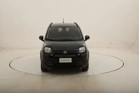 Used FIAT PANDA Hybrid 2023 Ad 