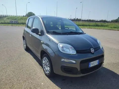 Used FIAT PANDA Petrol 2018 Ad 