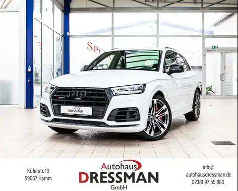 Used AUDI SQ5 Diesel 2019 Ad 