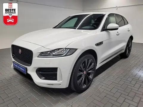 Annonce JAGUAR F-PACE Diesel 2017 d'occasion 