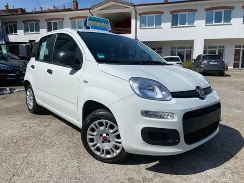 Used FIAT PANDA LPG 2019 Ad 