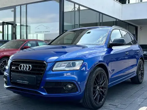 Used AUDI SQ5 Diesel 2017 Ad 