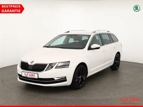 Annonce SKODA OCTAVIA Diesel 2019 d'occasion 