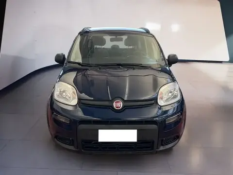 Annonce FIAT PANDA Hybride 2021 d'occasion 