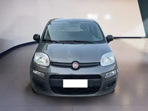 Used FIAT PANDA LPG 2021 Ad 