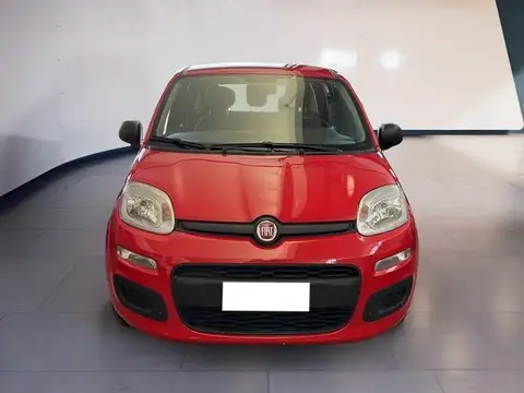 Used FIAT PANDA Hybrid 2021 Ad 