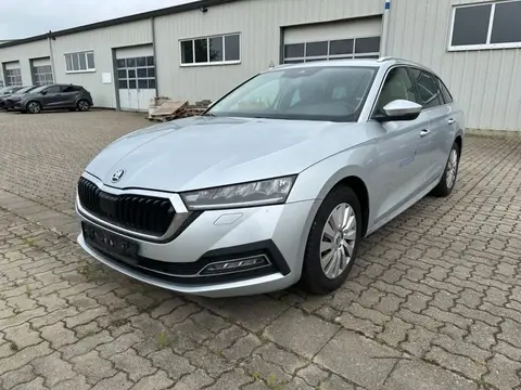 Used SKODA OCTAVIA Diesel 2020 Ad 