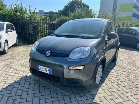 Annonce FIAT PANDA Hybride 2022 d'occasion 