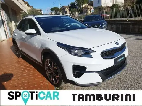 Used KIA XCEED Hybrid 2022 Ad 