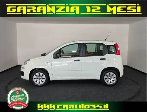 Used FIAT PANDA Petrol 2018 Ad 