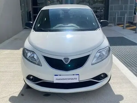 Used LANCIA YPSILON LPG 2016 Ad 