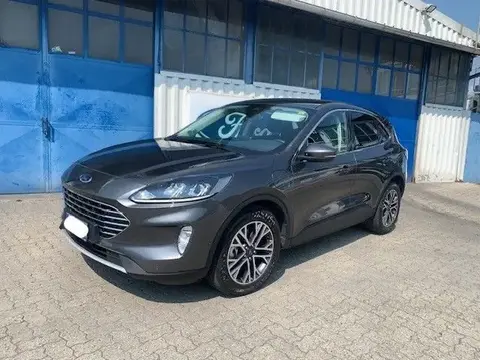 Used FORD KUGA Petrol 2021 Ad 