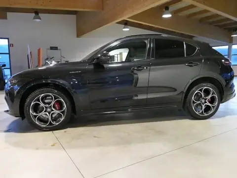 Used ALFA ROMEO STELVIO Petrol 2023 Ad 