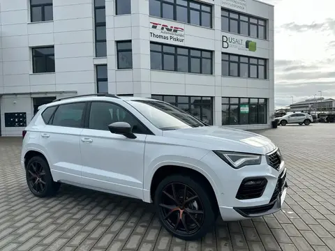 Annonce CUPRA ATECA Essence 2024 d'occasion 