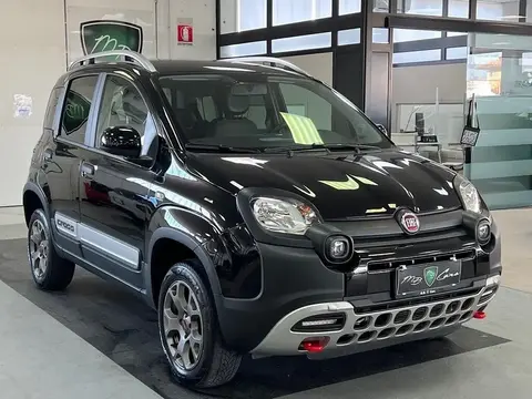 Annonce FIAT PANDA Essence 2019 d'occasion 