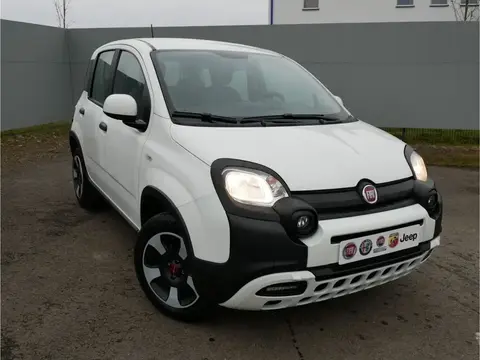 Annonce FIAT PANDA Hybride 2023 d'occasion 