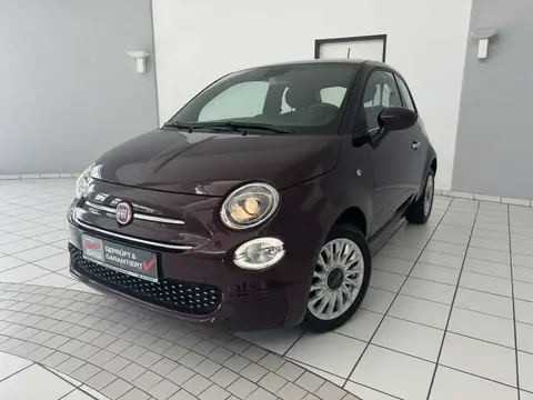 Used FIAT 500 Petrol 2019 Ad 