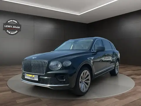 Annonce BENTLEY BENTAYGA Essence 2023 d'occasion 