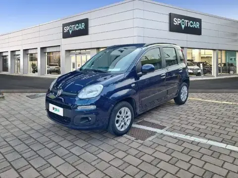 Annonce FIAT PANDA Essence 2019 d'occasion 