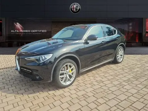 Used ALFA ROMEO STELVIO Diesel 2019 Ad 