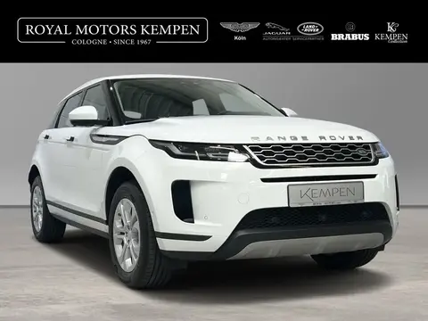 Used LAND ROVER RANGE ROVER EVOQUE Diesel 2019 Ad 