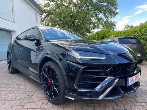 Used LAMBORGHINI URUS Petrol 2019 Ad 