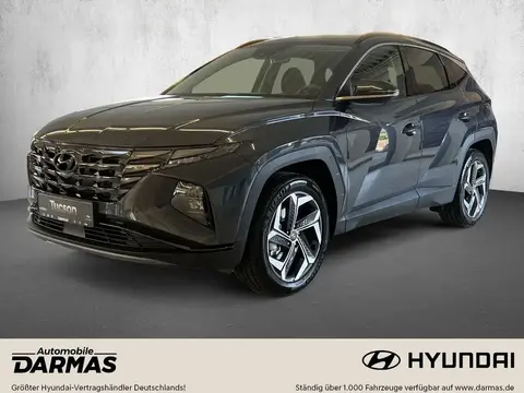 Used HYUNDAI TUCSON Hybrid 2023 Ad 