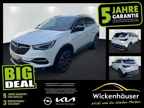 Used OPEL GRANDLAND Hybrid 2021 Ad 