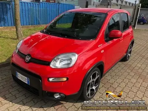 Used FIAT PANDA Hybrid 2021 Ad 