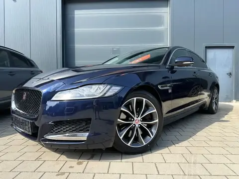 Annonce JAGUAR XF Diesel 2017 d'occasion 