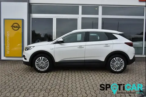 Used OPEL GRANDLAND Petrol 2020 Ad 